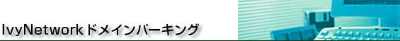 IvyNetworkドメインパーキング